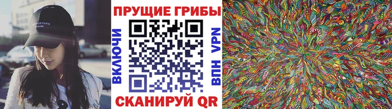 Псилоцибиновые грибы Psilocybe Лангепас